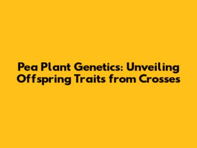 Pea Plant Genetics: Unveiling Offspring Traits from Crosses