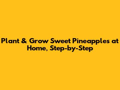 Plant & Grow Sweet Pineapples at Home, Step-by-Step