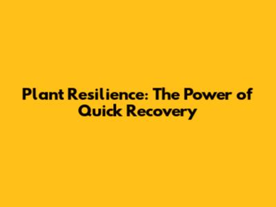 Plant Resilience: The Power of Quick Recovery