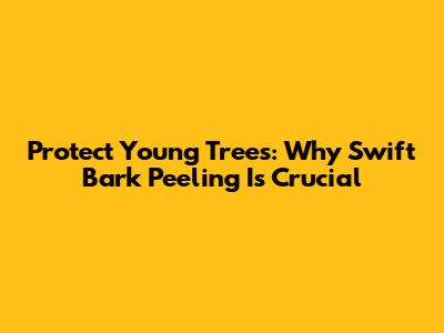 Protect Young Trees: Why Swift Bark Peeling Is Crucial
