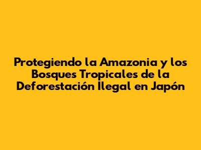 Protegiendo la Amazonia y los Bosques Tropicales de la Deforestación Ilegal en Japón