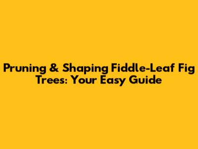 Pruning & Shaping Fiddle-Leaf Fig Trees: Your Easy Guide