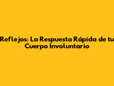 Reflejos: La Respuesta Rápida de tu Cuerpo Involuntario