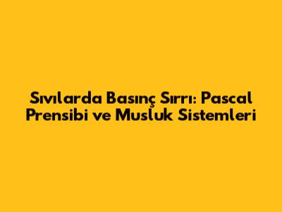 Sıvılarda Basınç Sırrı: Pascal Prensibi ve Musluk Sistemleri
