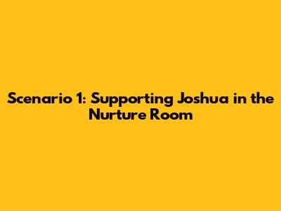 Scenario 1: Supporting Joshua in the Nurture Room