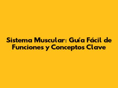 Sistema Muscular: Guía Fácil de Funciones y Conceptos Clave