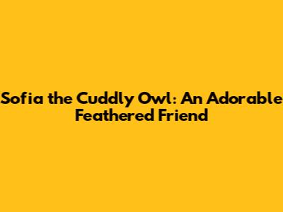 Sofia the Cuddly Owl: An Adorable Feathered Friend