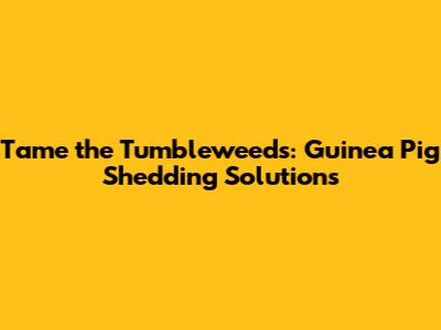 Tame the Tumbleweeds: Guinea Pig Shedding Solutions