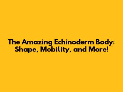 The Amazing Echinoderm Body: Shape, Mobility, and More!