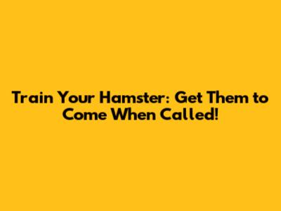 Train Your Hamster: Get Them to Come When Called!