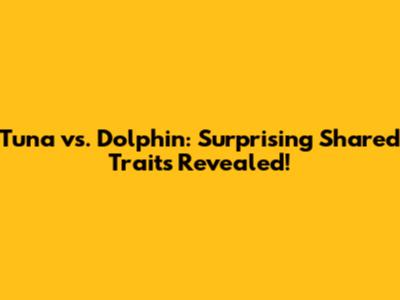 Tuna vs. Dolphin: Surprising Shared Traits Revealed!
