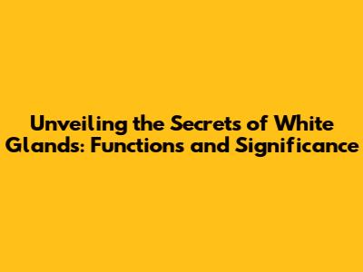 Unveiling the Secrets of White Glands: Functions and Significance