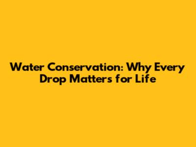 Water Conservation: Why Every Drop Matters for Life