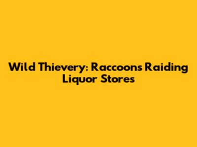 Wild Thievery: Raccoons Raiding Liquor Stores